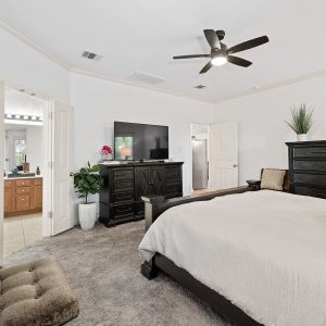 8714-Cotoneaster-INTERIOR-31