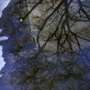 AIC_fount_reflex