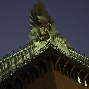 Washingtons_owl