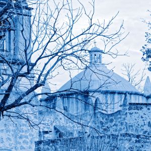 Mission_Blue