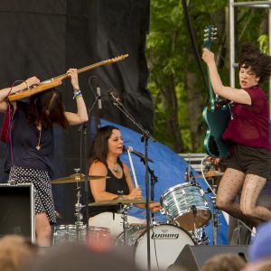 Pitchfork_Wild_Flag