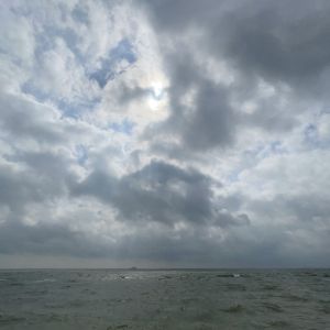 IMG_0447