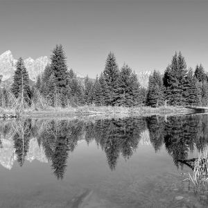 LANDSCAPES_2