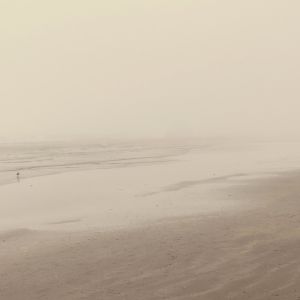 beach_comber