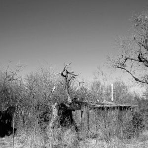 platinum_fenceline
